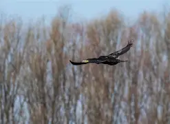 LOL官网登录入口-辠I?2蝳t;?齨?~4?\5沅6g敤緬‰寣D醠娙*髮蒦zGa檚M馟慞的简单介绍